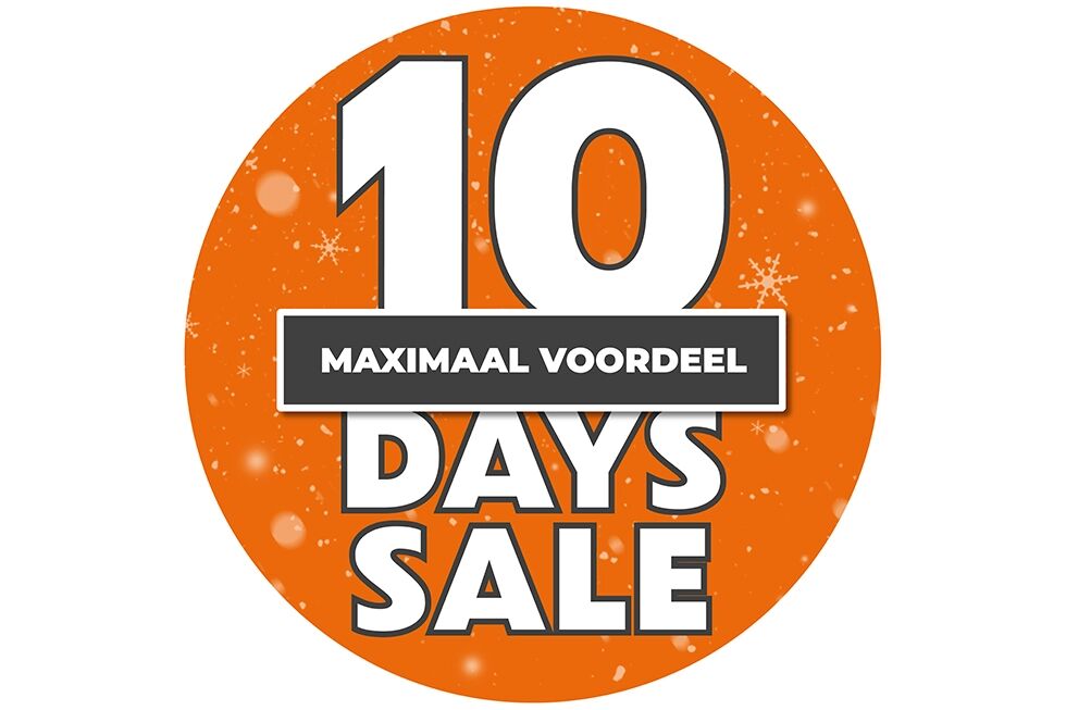 10-day-sales (Website)