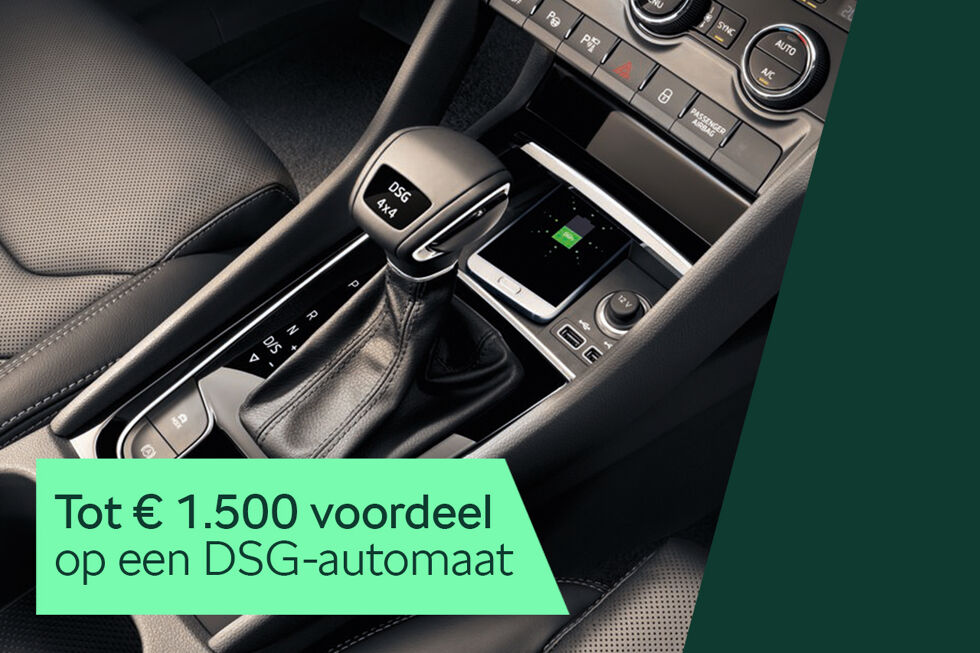 DSG_Q1_Acties